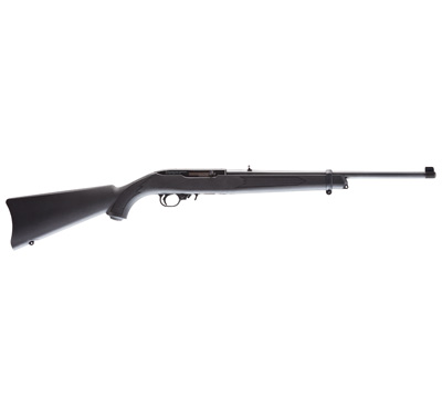 Ruger 10/22 .177 Air Rifle