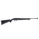 Ruger® 10/22 .177 Air Rifle