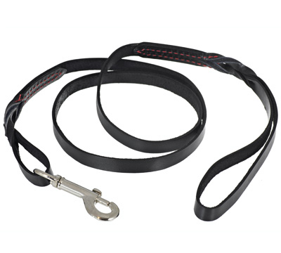 Ruger Puppy Leash