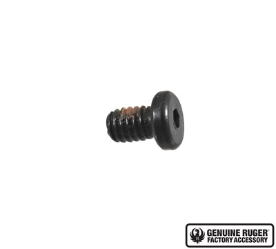 Security-Series Rear Sight Lock Screw