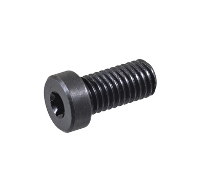 Screw, Torx, 8-40, Rear Sight