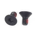 Screw, Flat Head (IP10 Torx Plus), with Nylon Patch